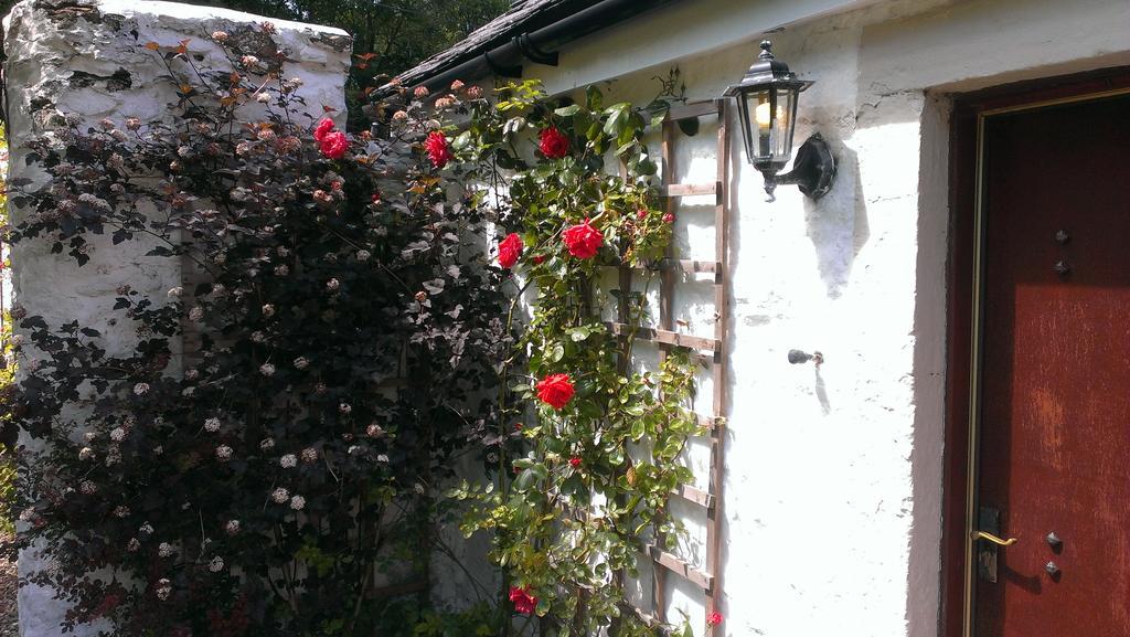 Whitestone Cottage Turnberry Kamer foto